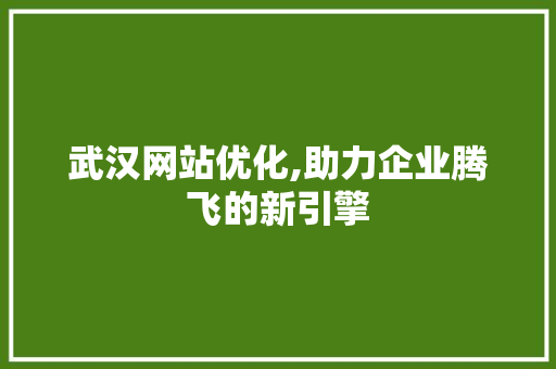 武汉网站优化,助力企业腾飞的新引擎