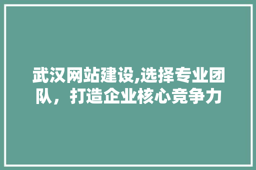 武汉网站建设,选择专业团队，打造企业核心竞争力 武汉网站建设,选择专业团队，打造企业核心竞争力 神马SEO