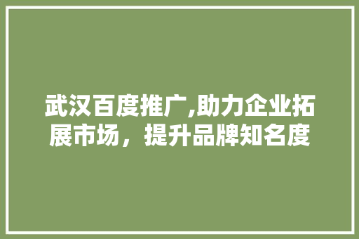 武汉百度推广,助力企业拓展市场，提升品牌知名度 武汉百度推广,助力企业拓展市场，提升品牌知名度 神马SEO