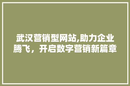 武汉营销型网站,助力企业腾飞，开启数字营销新篇章