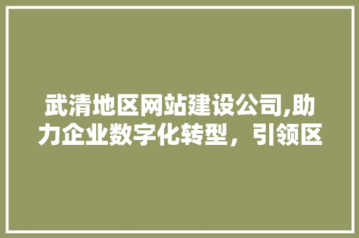 武清地区网站建设公司,助力企业数字化转型，引领区域经济发展新潮流