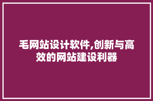 毛网站设计软件,创新与高效的网站建设利器