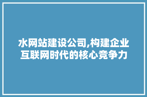 水网站建设公司,构建企业互联网时代的核心竞争力 水网站建设公司,构建企业互联网时代的核心竞争力 神马SEO