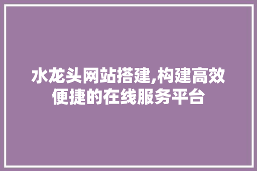 水龙头网站搭建,构建高效便捷的在线服务平台 水龙头网站搭建,构建高效便捷的在线服务平台 搜狗SEO