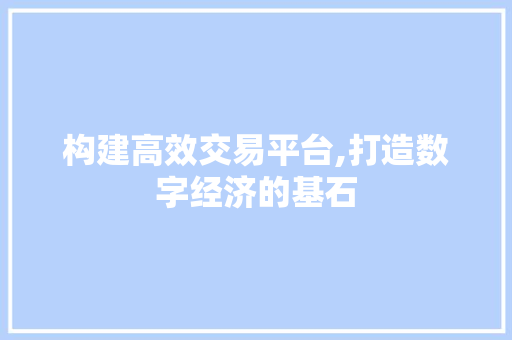 构建高效交易平台,打造数字经济的基石