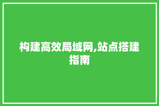 构建高效局域网,站点搭建指南 构建高效局域网,站点搭建指南 网站建设公司