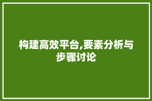 构建高效平台,要素分析与步骤讨论 构建高效平台,要素分析与步骤讨论 网站建设公司