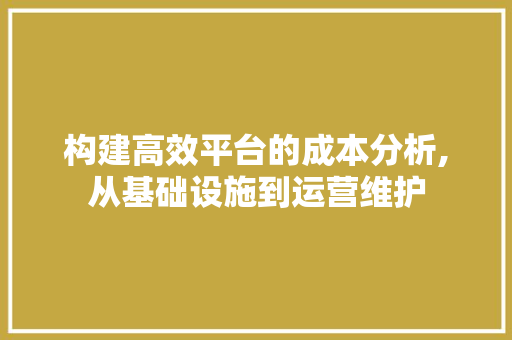 构建高效平台的成本分析,从基础设施到运营维护 构建高效平台的成本分析,从基础设施到运营维护 神马SEO