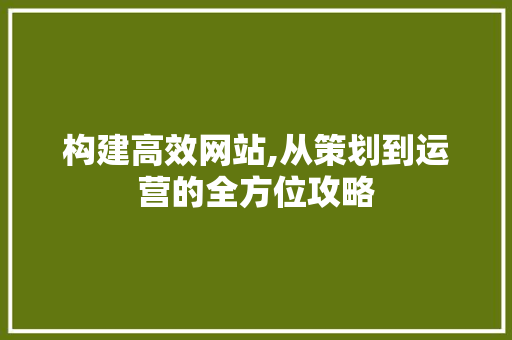 构建高效网站,从策划到运营的全方位攻略 构建高效网站,从策划到运营的全方位攻略 神马SEO