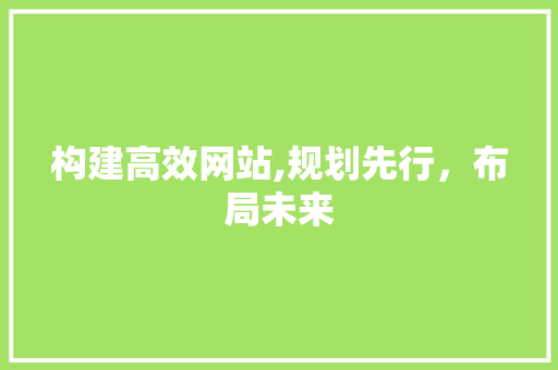 构建高效网站,规划先行，布局未来 构建高效网站,规划先行，布局未来 神马SEO
