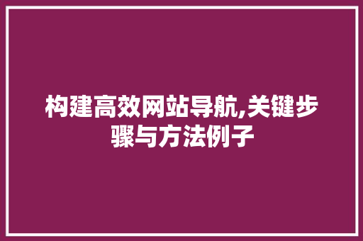 构建高效网站导航,关键步骤与方法例子
