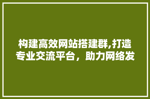 构建高效网站搭建群,打造专业交流平台，助力网络发展 构建高效网站搭建群,打造专业交流平台，助力网络发展 SEO关键词
