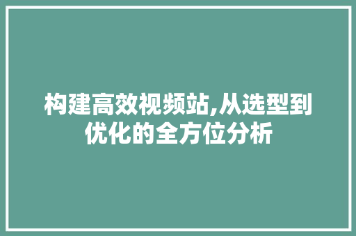 构建高效视频站,从选型到优化的全方位分析 构建高效视频站,从选型到优化的全方位分析 神马SEO