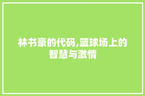 林书豪的代码,篮球场上的智慧与激情 林书豪的代码,篮球场上的智慧与激情 神马SEO