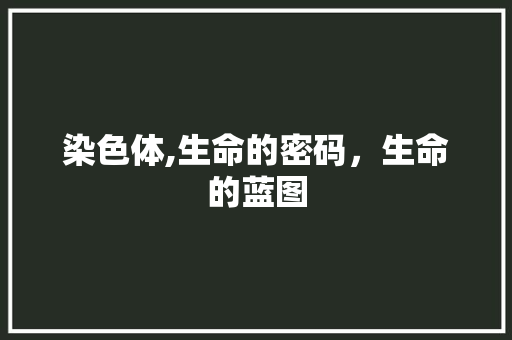 染色体,生命的密码，生命的蓝图 染色体,生命的密码，生命的蓝图 神马SEO