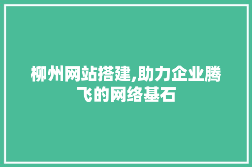 柳州网站搭建,助力企业腾飞的网络基石