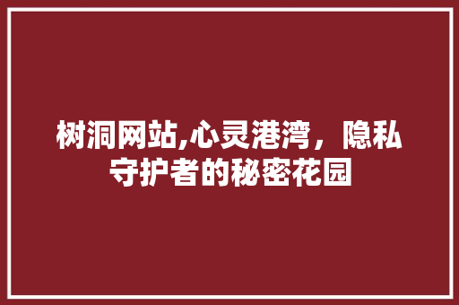 树洞网站,心灵港湾，隐私守护者的秘密花园