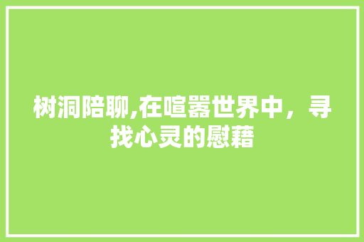树洞陪聊,在喧嚣世界中，寻找心灵的慰藉 树洞陪聊,在喧嚣世界中，寻找心灵的慰藉 百度SEO