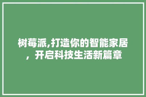 树莓派,打造你的智能家居，开启科技生活新篇章 树莓派,打造你的智能家居，开启科技生活新篇章 必应SEO