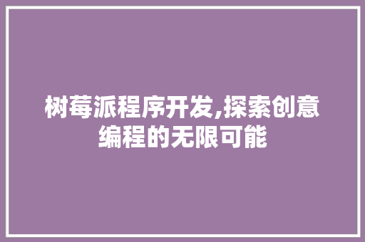 树莓派程序开发,探索创意编程的无限可能