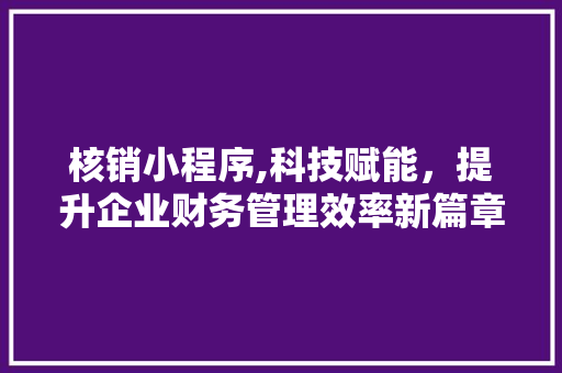 核销小程序,科技赋能，提升企业财务管理效率新篇章 核销小程序,科技赋能，提升企业财务管理效率新篇章 必应SEO