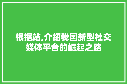 根据站,介绍我国新型社交媒体平台的崛起之路 根据站,介绍我国新型社交媒体平台的崛起之路 SEO关键词