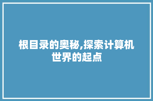 根目录的奥秘,探索计算机世界的起点 根目录的奥秘,探索计算机世界的起点 神马SEO