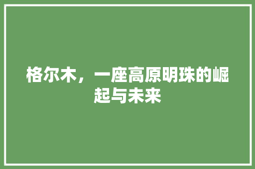 格尔木，一座高原明珠的崛起与未来 格尔木，一座高原明珠的崛起与未来 百度SEO