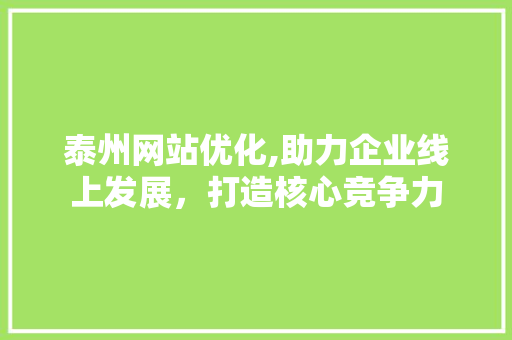 泰州网站优化,助力企业线上发展，打造核心竞争力