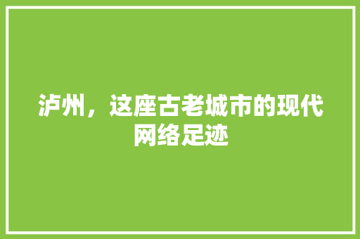 泸州，这座古老城市的现代网络足迹