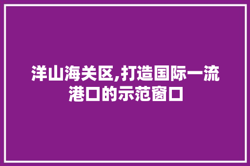 洋山海关区,打造国际一流港口的示范窗口 洋山海关区,打造国际一流港口的示范窗口 网站建设公司