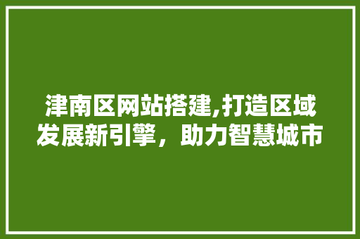 津南区网站搭建,打造区域发展新引擎，助力智慧城市建设