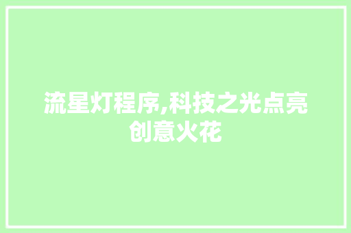 流星灯程序,科技之光点亮创意火花