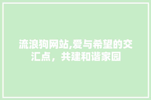 流浪狗网站,爱与希望的交汇点，共建和谐家园
