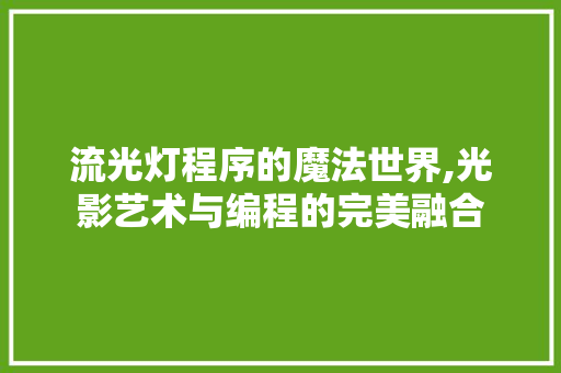流光灯程序的魔法世界,光影艺术与编程的完美融合