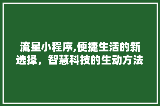 流星小程序,便捷生活的新选择，智慧科技的生动方法