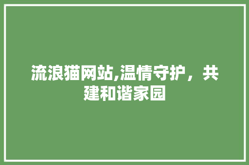 流浪猫网站,温情守护，共建和谐家园