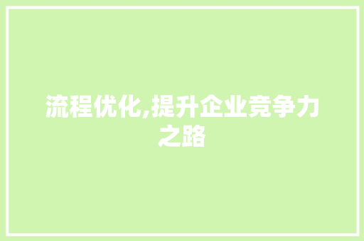 流程优化,提升企业竞争力之路