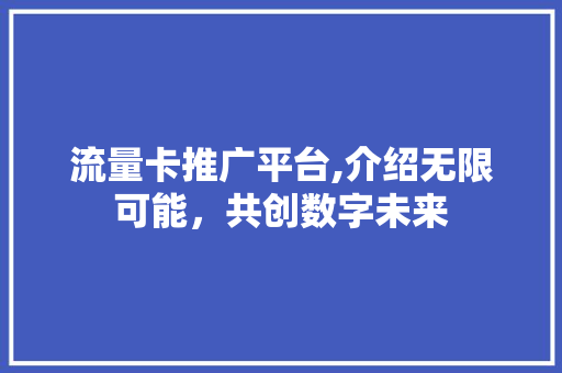 流量卡推广平台,介绍无限可能，共创数字未来