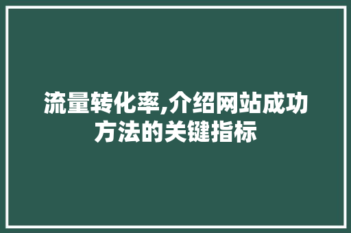 流量转化率,介绍网站成功方法的关键指标