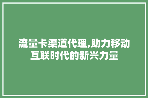 流量卡渠道代理,助力移动互联时代的新兴力量