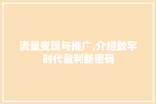 流量变现与推广,介绍数字时代盈利新密码
