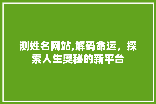 测姓名网站,解码命运，探索人生奥秘的新平台