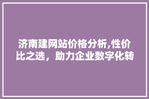 济南建网站价格分析,性价比之选，助力企业数字化转型