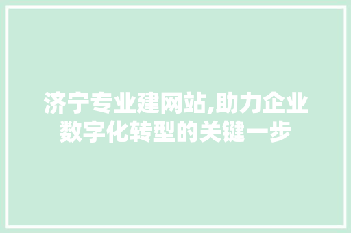 济宁专业建网站,助力企业数字化转型的关键一步