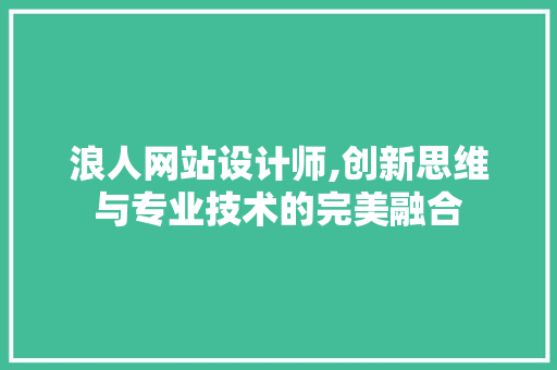 浪人网站设计师,创新思维与专业技术的完美融合