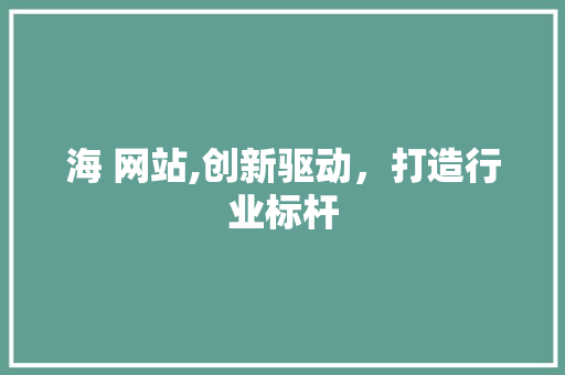 海 网站,创新驱动，打造行业标杆