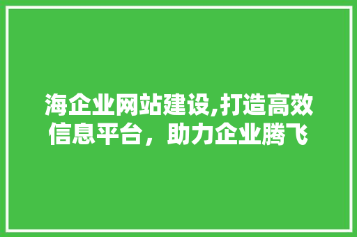 海企业网站建设,打造高效信息平台，助力企业腾飞