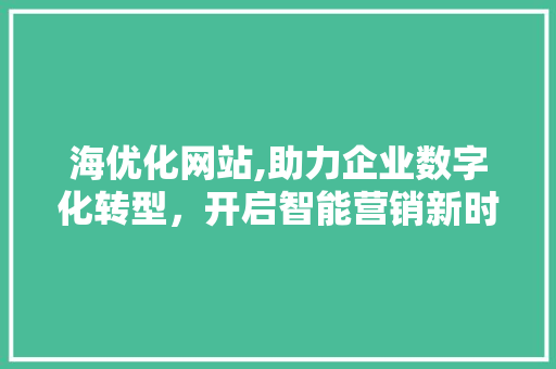 海优化网站,助力企业数字化转型，开启智能营销新时代