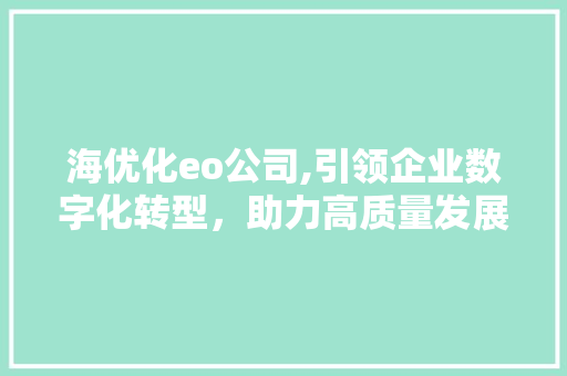 海优化eo公司,引领企业数字化转型，助力高质量发展